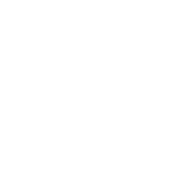 Dollar banknote and stack of coins icon